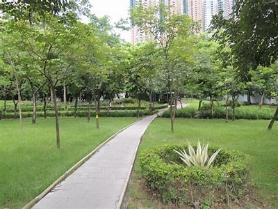 南昌蹦床公园成人是否免费？