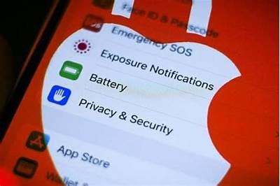 iOS成人软件官方免费下载安装指南