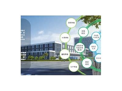 免费观看樱桃视频成人片